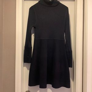 Eliza J Long Sleeve Turtleneck Fit and Flare Sweater Dress
